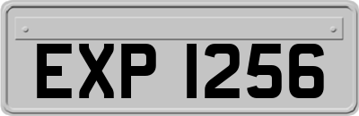 EXP1256