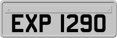 EXP1290