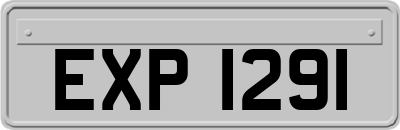 EXP1291