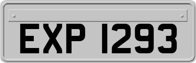 EXP1293