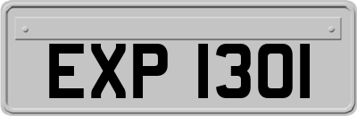 EXP1301