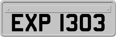 EXP1303