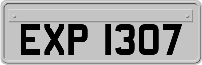 EXP1307