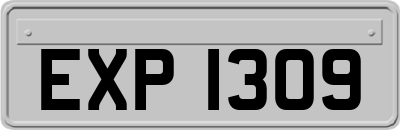 EXP1309