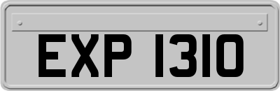 EXP1310