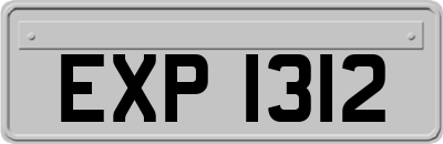 EXP1312