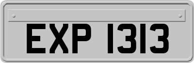 EXP1313