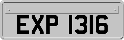 EXP1316