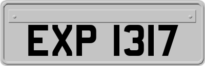 EXP1317