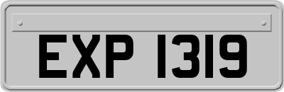 EXP1319