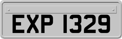 EXP1329