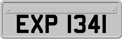 EXP1341