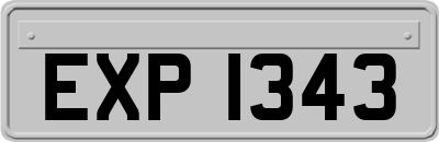 EXP1343