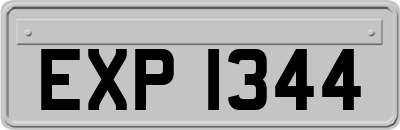 EXP1344