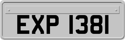 EXP1381