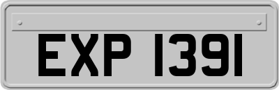 EXP1391