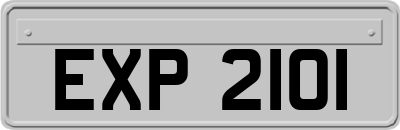 EXP2101