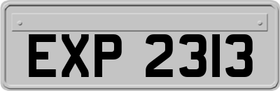EXP2313