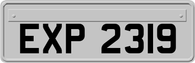 EXP2319