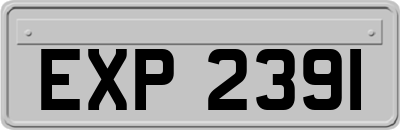 EXP2391