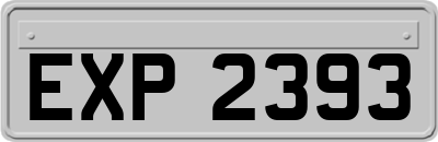 EXP2393