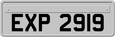 EXP2919