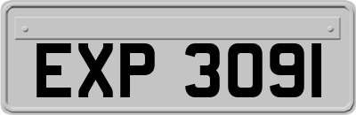 EXP3091