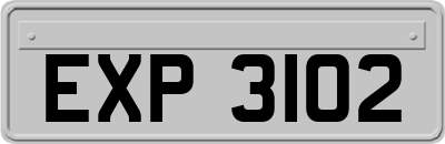 EXP3102