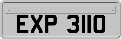 EXP3110