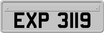EXP3119