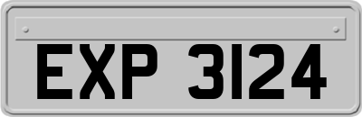 EXP3124