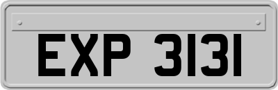 EXP3131