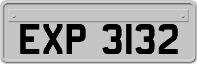 EXP3132