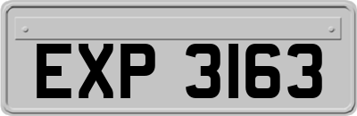 EXP3163