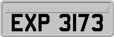 EXP3173