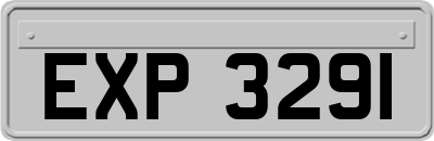 EXP3291