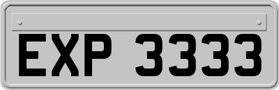 EXP3333