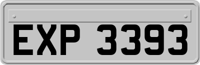 EXP3393