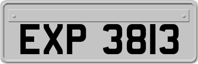 EXP3813
