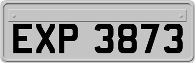 EXP3873
