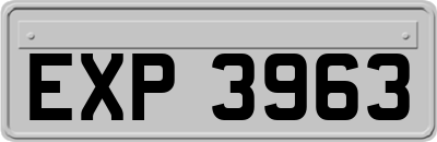 EXP3963