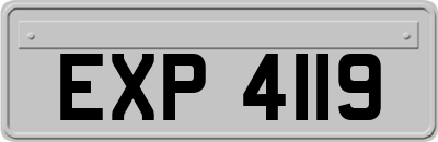 EXP4119