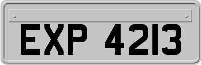 EXP4213