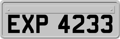 EXP4233