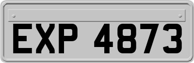 EXP4873
