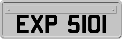 EXP5101