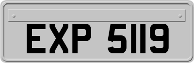EXP5119