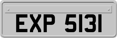 EXP5131