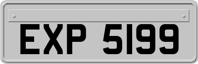 EXP5199
