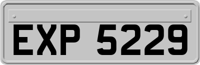 EXP5229